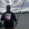 toddyapx